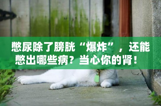 憋尿除了膀胱“爆炸”，還能憋出哪些病？當心你的腎！ 