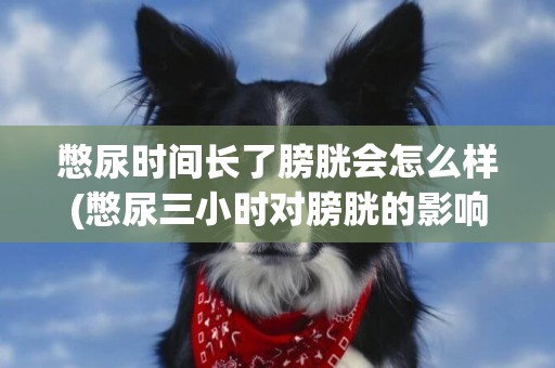 憋尿時間長了膀胱會怎么樣(憋尿三小時對膀胱的影響) 