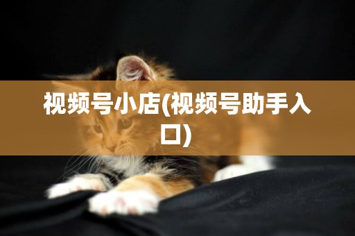 視頻號小店(視頻號助手入口) 
