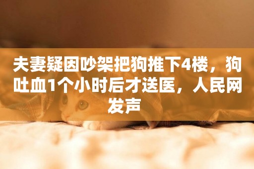 夫妻疑因吵架把狗推下4樓，狗吐血1個小時后才送醫，人民網發聲 