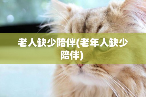 老人缺少陪伴(老年人缺少陪伴) 