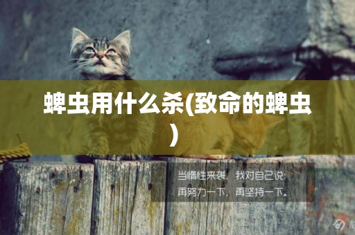 蜱蟲用什么殺(致命的蜱蟲) 