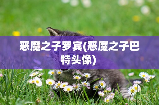 惡魔之子羅賓(惡魔之子巴特頭像) 