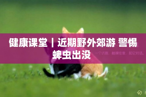 健康課堂｜近期野外郊游 警惕蜱蟲出沒 