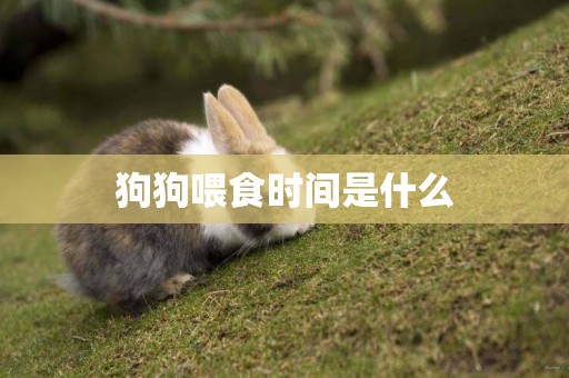 狗狗喂食時間是什么
