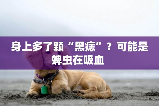 身上多了顆“黑痣”？可能是蜱蟲在吸血 