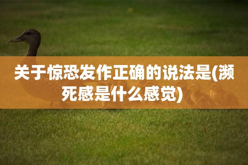 關于驚恐發作正確的說法是(瀕死感是什么感覺) 