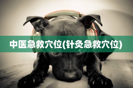 中醫急救穴位(針灸急救穴位) 
