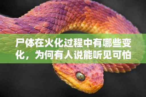 尸體在火化過程中有哪些變化，為何有人說能聽見可怕的“叫聲？” 