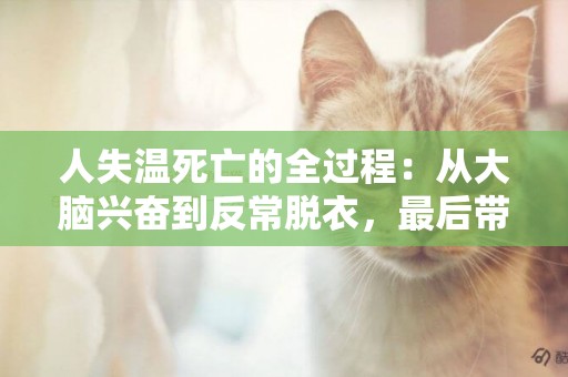 人失溫死亡的全過程：從大腦興奮到反常脫衣，最后帶著微笑死去 