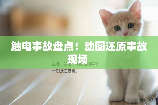 觸電事故盤點！動圖還原事故現場 
