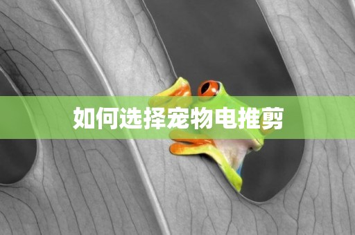 如何選擇寵物電推剪