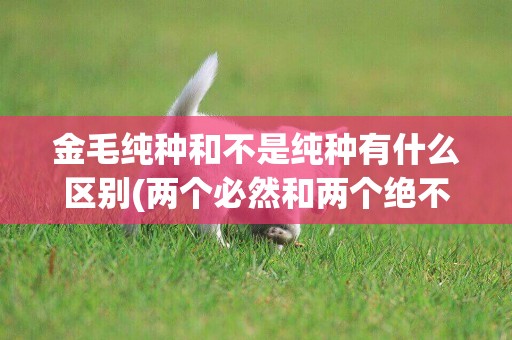 金毛純種和不是純種有什么區別(兩個必然和兩個絕不會) 