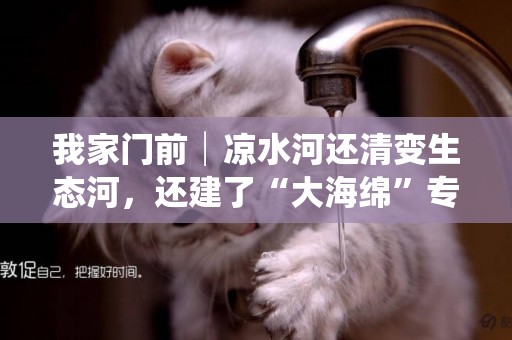 我家門前│涼水河還清變生態河，還建了“大海綿”專門存水 