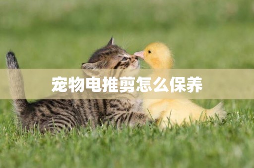 寵物電推剪怎么保養
