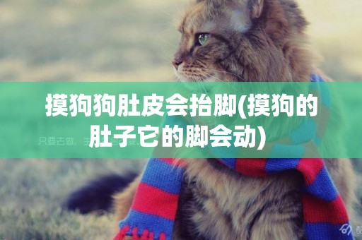 摸狗狗肚皮會抬腳(摸狗的肚子它的腳會動) 