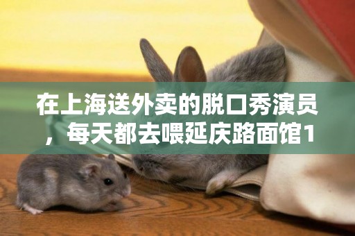 在上海送外賣的脫口秀演員，每天都去喂延慶路面館18歲的老貓 