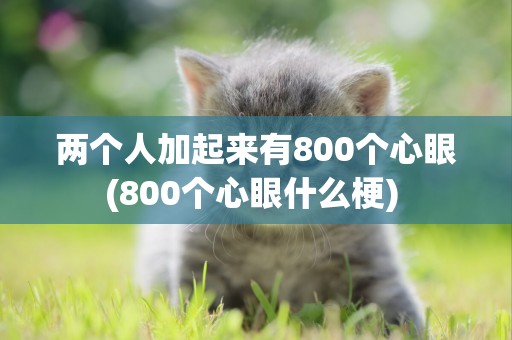 兩個人加起來有800個心眼(800個心眼什么梗) 