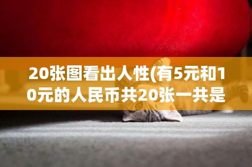 20張圖看出人性(有5元和10元的人民幣共20張一共是175元) 