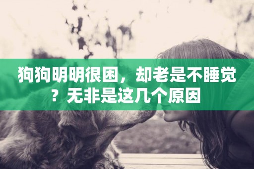 狗狗明明很困，卻老是不睡覺？無非是這幾個原因 