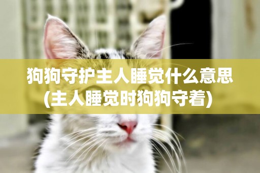狗狗守護主人睡覺什么意思(主人睡覺時狗狗守著) 