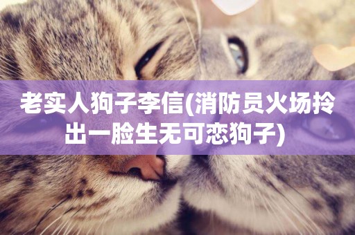 老實人狗子李信(消防員火場拎出一臉生無可戀狗子) 