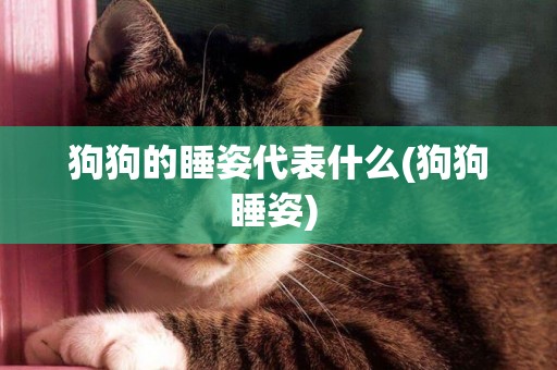 狗狗的睡姿代表什么(狗狗睡姿) 