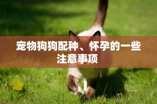寵物狗狗配種、懷孕的一些注意事項 