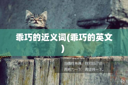 乖巧的近義詞(乖巧的英文) 