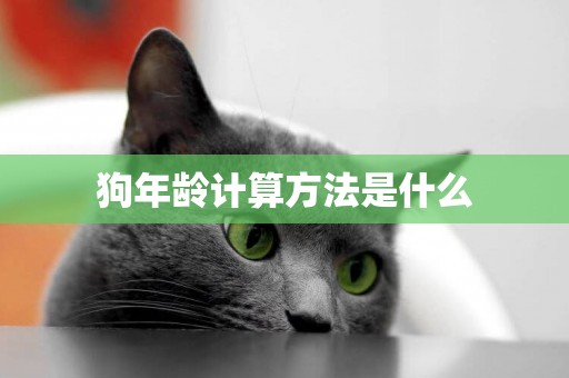 狗年齡計算方法是什么