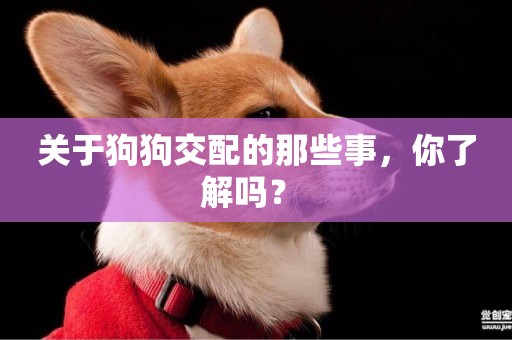 關于狗狗交配的那些事，你了解嗎？ 