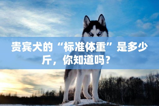 貴賓犬的“標準體重”是多少斤，你知道嗎？ 
