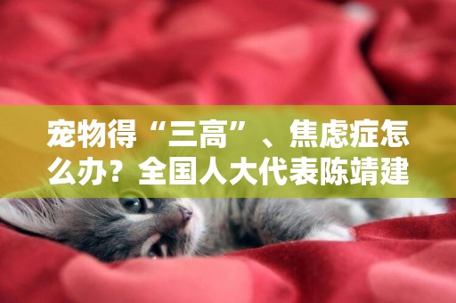 寵物得“三高”、焦慮癥怎么辦？全國人大代表陳靖建議：緩解寵物臨床用藥難 