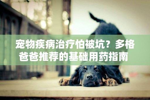 寵物疾病治療怕被坑？多格爸爸推薦的基礎用藥指南 