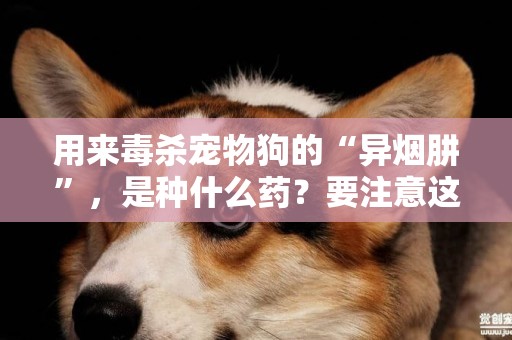 用來毒殺寵物狗的“異煙肼”，是種什么藥？要注意這4點 