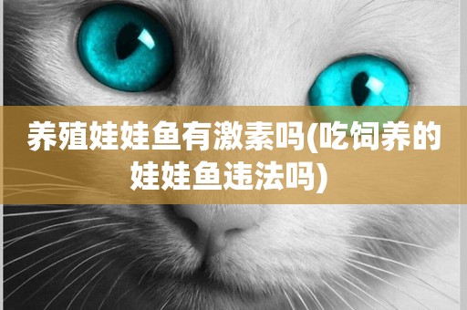 養殖娃娃魚有激素嗎(吃飼養的娃娃魚違法嗎) 