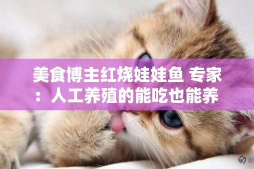 美食博主紅燒娃娃魚?專家：人工養殖的能吃也能養 