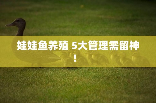 娃娃魚養殖 5大管理需留神！ 