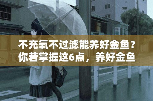 不充氧不過濾能養好金魚？你若掌握這6點，養好金魚那都不是事兒 