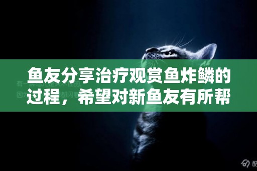 魚友分享治療觀賞魚炸鱗的過程，希望對新魚友有所幫助 