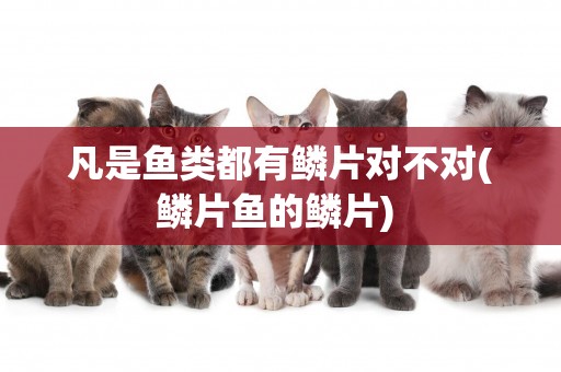 凡是魚類都有鱗片對不對(鱗片魚的鱗片) 