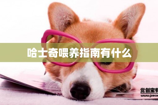哈士奇喂養指南有什么
