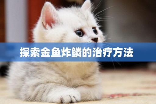 探索金魚炸鱗的治療方法 