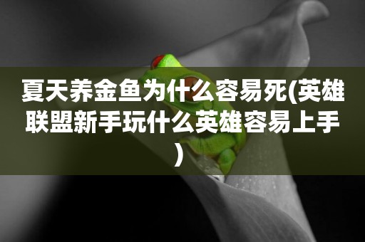 夏天養金魚為什么容易死(英雄聯盟新手玩什么英雄容易上手) 