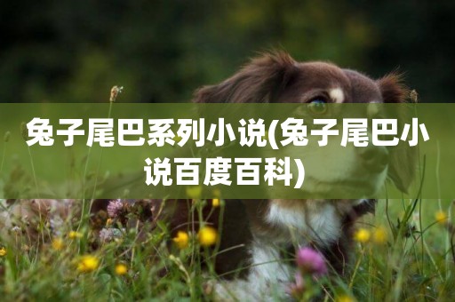 兔子尾巴系列小說(兔子尾巴小說百度百科) 