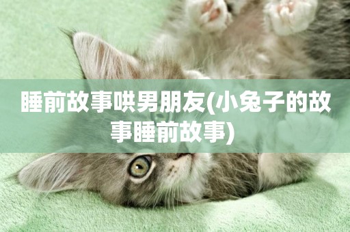 睡前故事哄男朋友(小兔子的故事睡前故事) 
