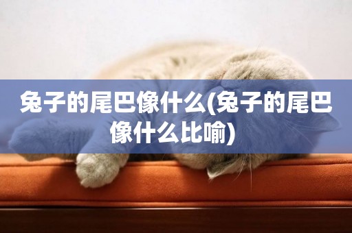 兔子的尾巴像什么(兔子的尾巴像什么比喻) 