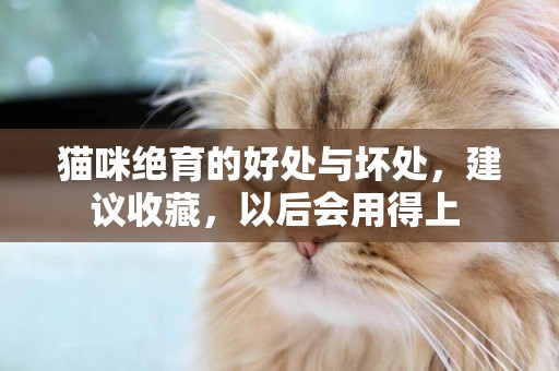 貓咪絕育的好處與壞處，建議收藏，以后會用得上 