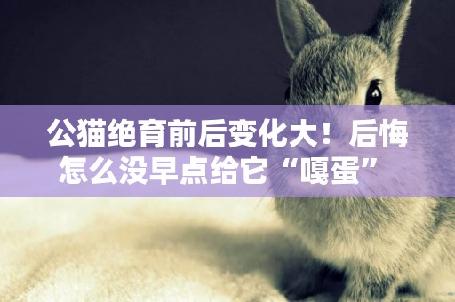 公貓絕育前后變化大！后悔怎么沒早點給它“嘎蛋” 