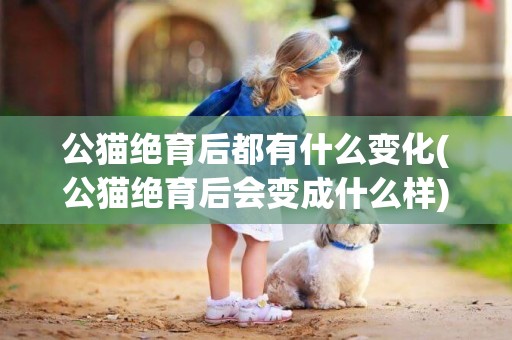 公貓絕育后都有什么變化(公貓絕育后會變成什么樣) 